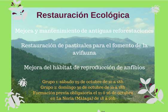Voluntariado de Restauración Ecológica en la Sierra de las Nieves (Málaga)