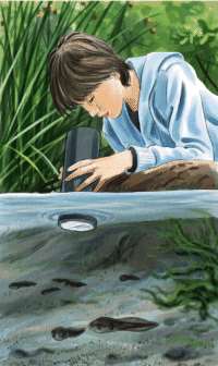 Un acuascopio es un aparato que nos permitirá observar el fondo de una charla, laguna, río o cualquier medio acuático