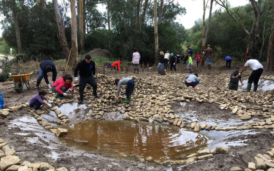 “Restauración de Ecosistemas y participación ciudadana: construcción de charcas para anfibios” resultados del proyecto