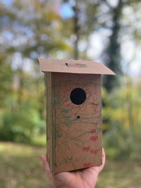 Caja nido de cartón pintada